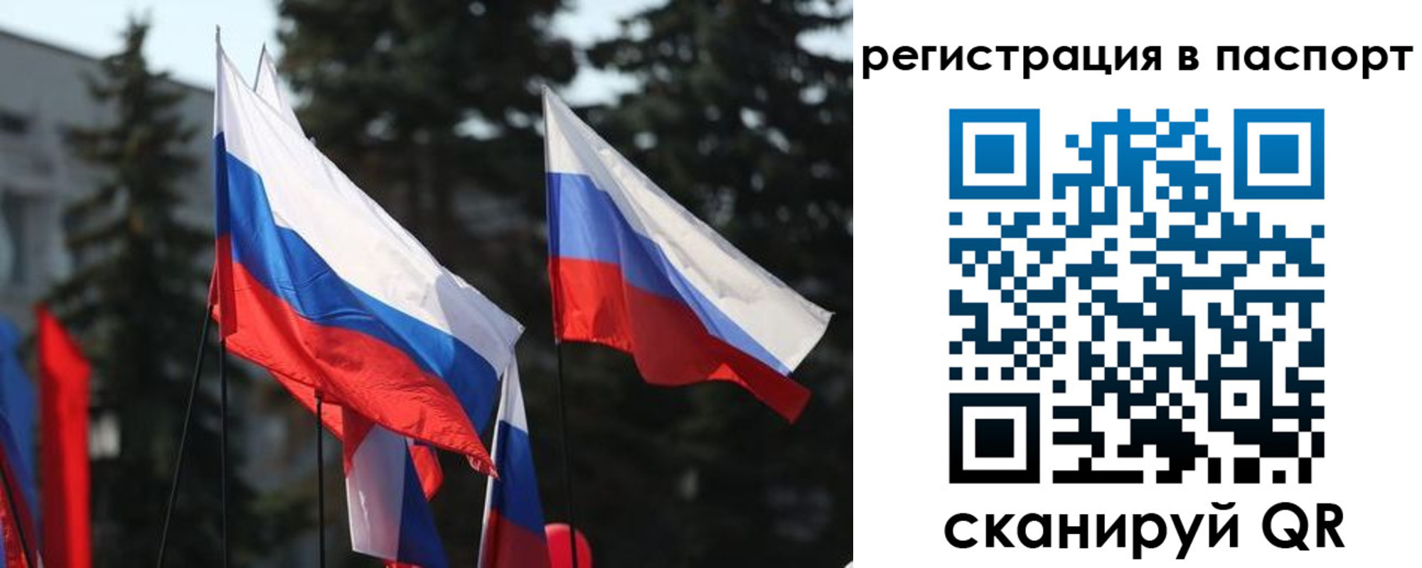 прописка штамп в Ярцево